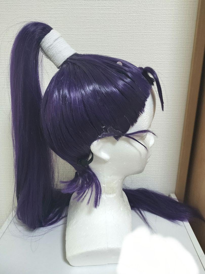立花仙蔵 コスプレ ウイッグ お値下げ可能⭕️ 忍たま乱太郎 立花仙蔵 コスプレ ウィッグ - メルカリ